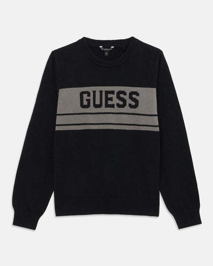 Pullover black Guess