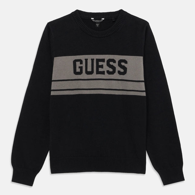 Pullover black Guess