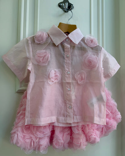 Completo Rose