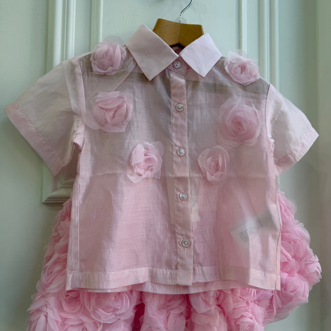 Completo Rose